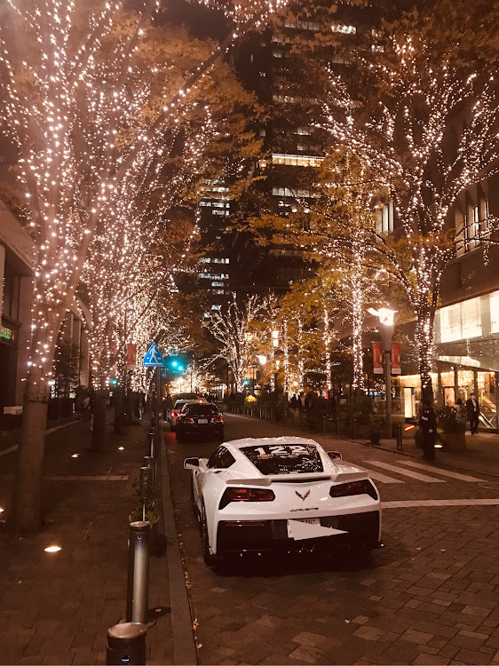 コルベット クーペのcoyote corvetteさんが投稿したカスタム事例の投稿画像3枚目