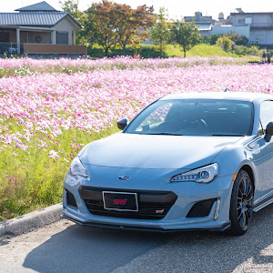 BRZ ZC6