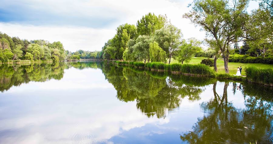 Bryllupsfotograf Gabriella Hidvégi (gabriellahidveg). Bilde av 7 juni 2014