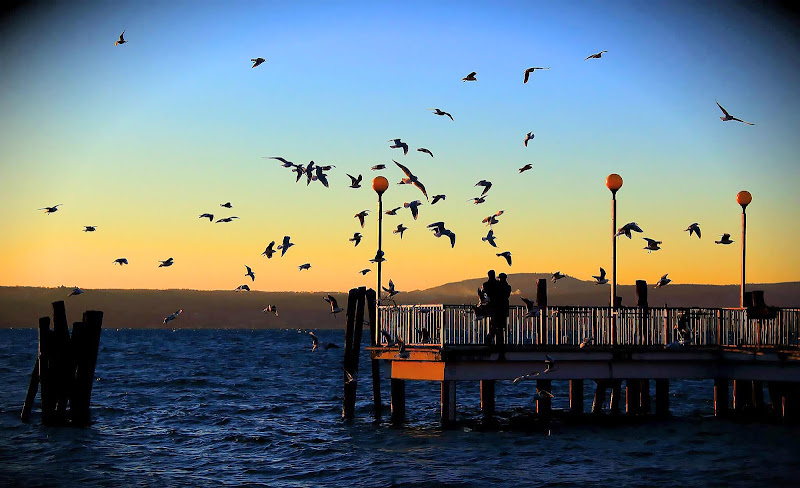 Amore al tramonto di Tomassetti Sara