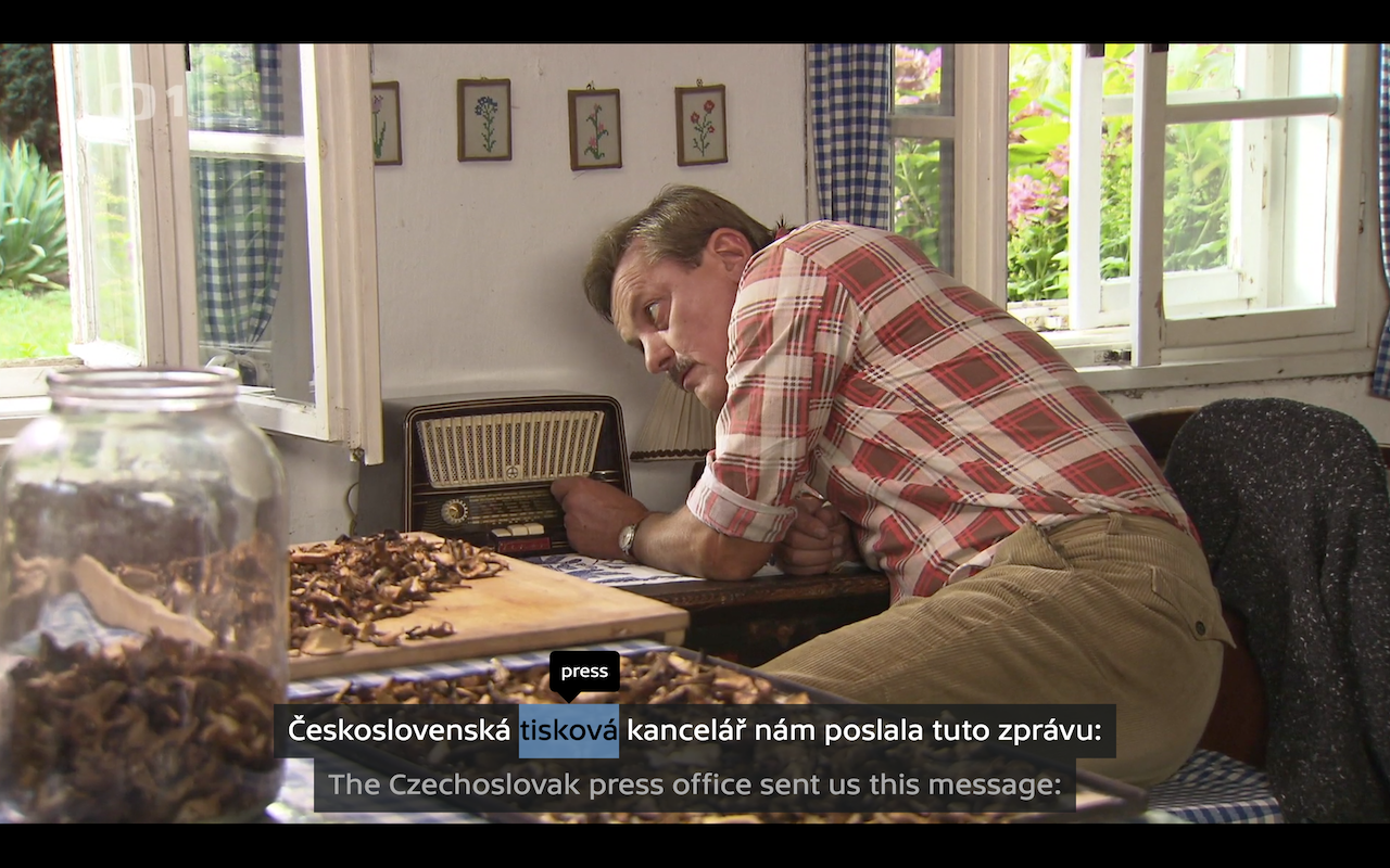 Learn Czech with TV Preview image 3