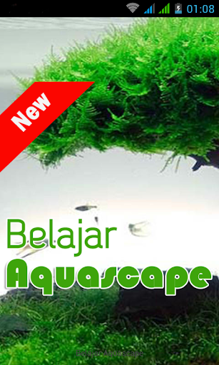 Belajar Aquascape