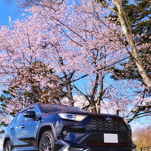 RAV4 AXAH54