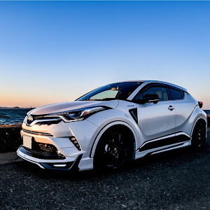 C-HR ZYX10