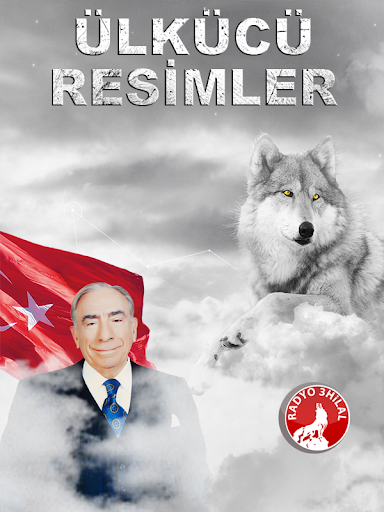 Ülkücü Resimler