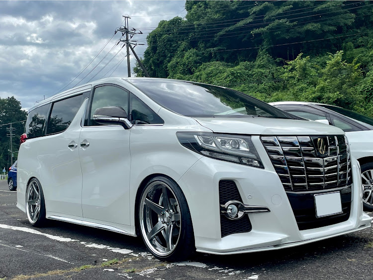 アルファードの夏休みの思い出・夏休み家族旅行・東京サマーランド・グノーシスCVFに関するカスタム事例の投稿画像1枚目