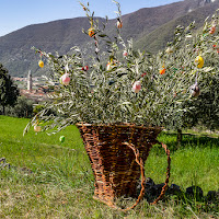 Gerla pasquale di brunosma