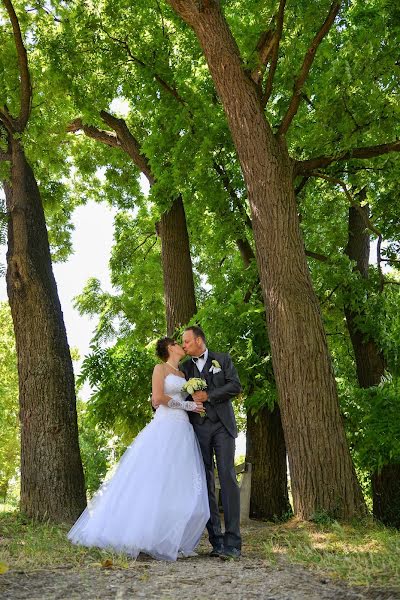 Fotógrafo de bodas Imre Vass (vassimre). Foto del 3 de marzo 2019