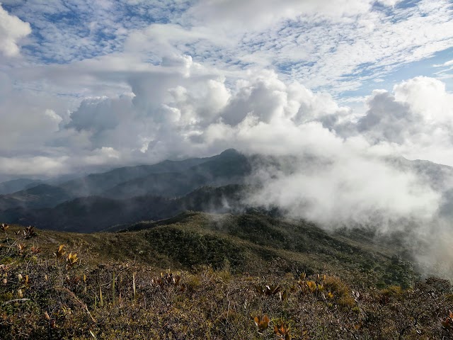 Mount Tahan Views