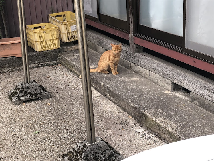 S660の帰省・道の駅・ねぎトロ丼・お出迎えに関するカスタム事例の投稿画像6枚目
