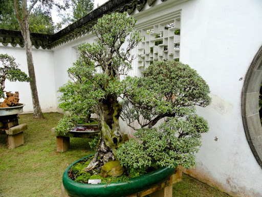 The Chinese Japanese Gardens Singapore2010