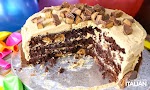 Reese's Peanut Butter Cup Extreme Brownie Cake was pinched from <a href="http://www.theslowroasteditalian.com/2015/10/reeses-peanut-butter-cup-extreme-brownie-cake-recipe.html?utm_source=feedburner" target="_blank">www.theslowroasteditalian.com.</a>