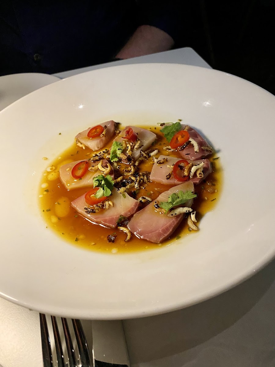 Hamachi crudo