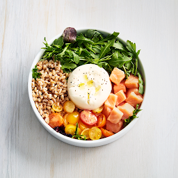 Salmon (Raw) Bowl