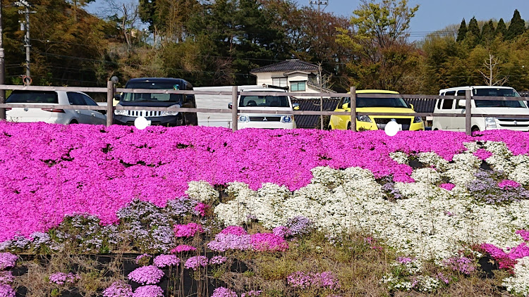 の投稿画像4枚目