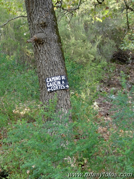 Sierra del Hacho (Gaucín)