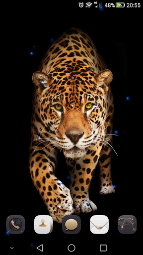 Cheetah Live Wallpaper