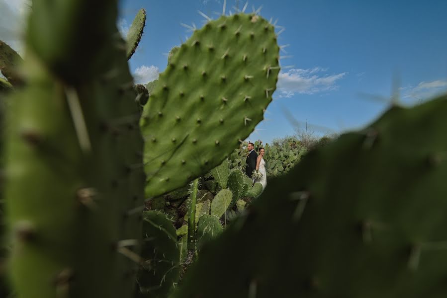 Fotógrafo de bodas Theodore Vourlis (vourlisphoto). Foto del 21 de noviembre 2023