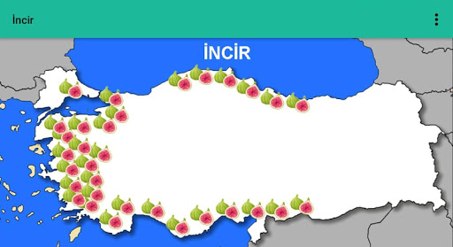 Haritalarla Coğrafya