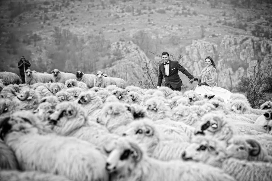 Fotógrafo de bodas Daniel Andrei (danielandrei). Foto del 21 de mayo 2015