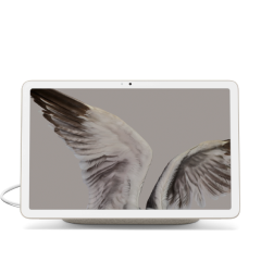 Une Pixel Tablet affichant les ailes d'un oiseau en gros plan.