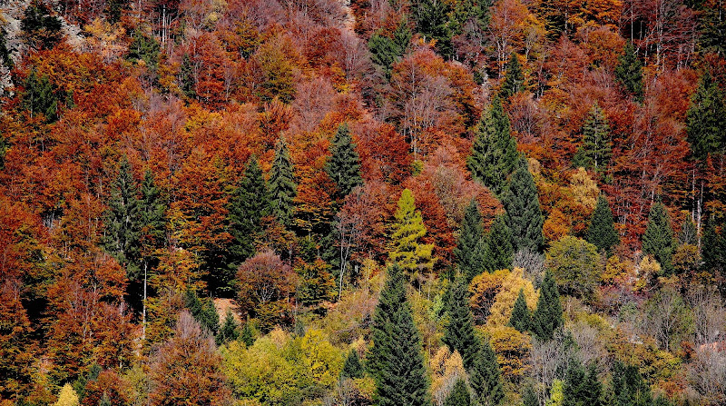 Sfumature di Natura di AB