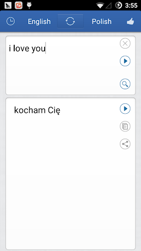 Polish English Translator