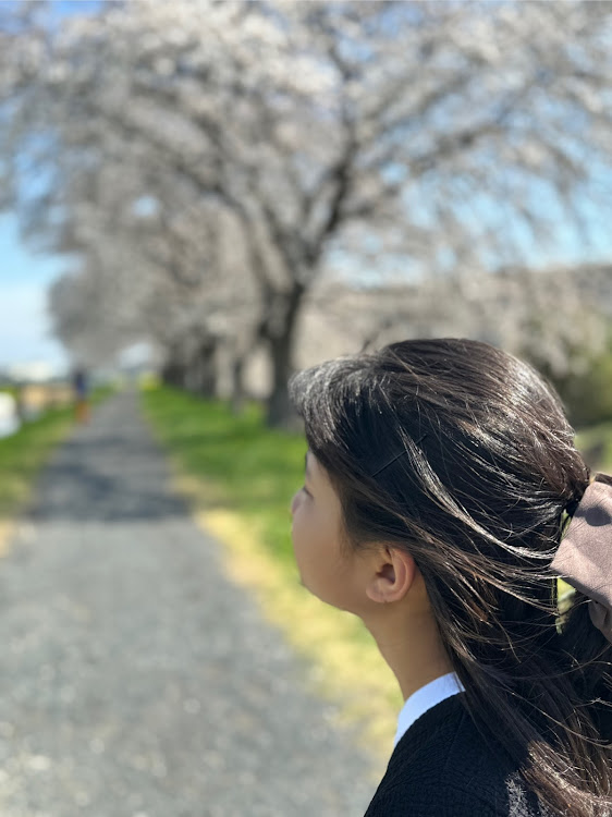 ステップワゴンのstep gathering・オフ会のお知らせ・桜とコラボ・サクラと愛車・カメ活練習に関するカスタム事例の投稿画像4枚目
