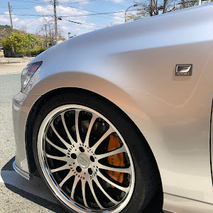 GS GRL10