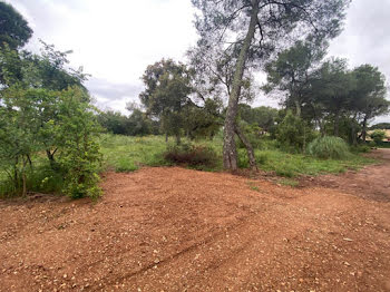 terrain à Le Cannet-des-Maures (83)