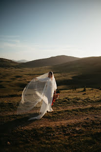 結婚式の写真家Irina Nikola (irinaandnikola)。2023 1月30日の写真