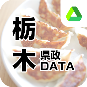 栃木県政DATA-栃木県議や庁職員、財界の人事情報満載！ logo