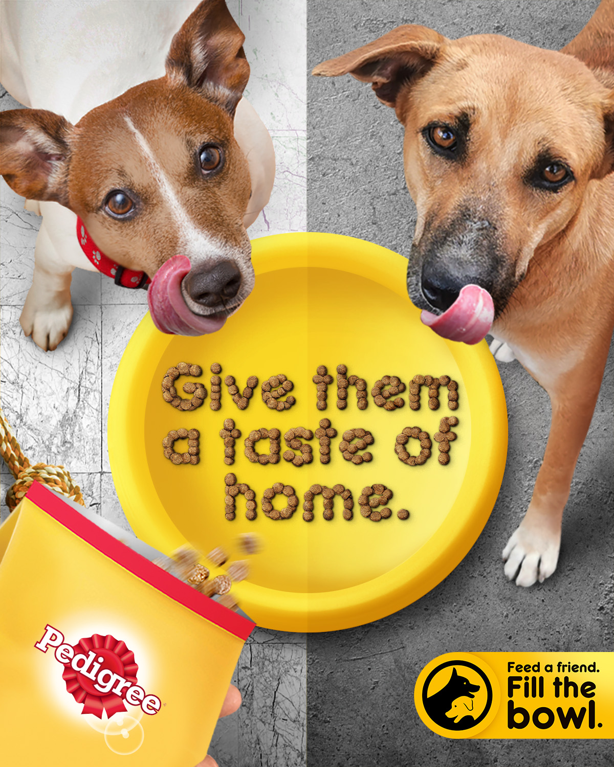 Pedigree unites animal lovers to feed stray dogs