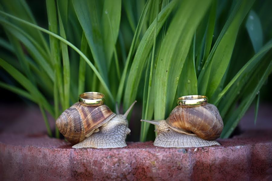 Bryllupsfotograf Bogdan Nicolae (nicolae). Foto fra maj 15 2022