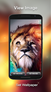 How to download Lion 3D Wallpaper 1.2 mod apk for laptop