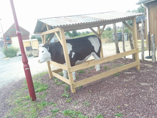 Cow Box