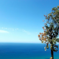 Tra cielo e mare... di 