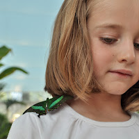 La bambina e la farfalla di Ilaria Bertini