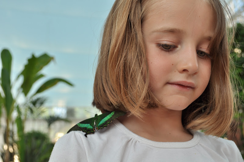 La bambina e la farfalla di Ilaria Bertini