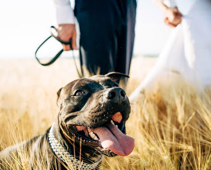 Fotografo di matrimoni Maksim Chernyy (blackmax). Foto del 18 agosto 2017