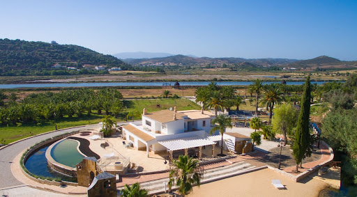 Villa purchase in Faro (Portugal) - White villa with pool and lush garden