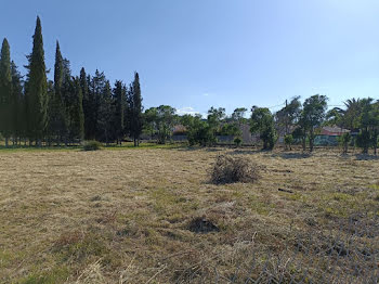 terrain à Puget-sur-Argens (83)