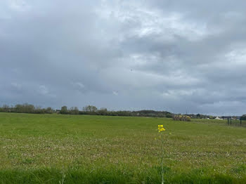 terrain à Chargé (37)