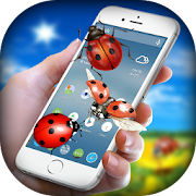 Ladybug On Screen Funny Joke - Bugs in Phone Pro  Icon