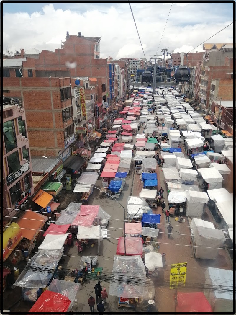 LA PAZ (MERCADO DEL ALTO, LUCHA CHOLITAS), BOGOTÁ EXPRESS. - DE ATACAMA A LA PAZ. ROZANDO EL CIELO 2019 (4)