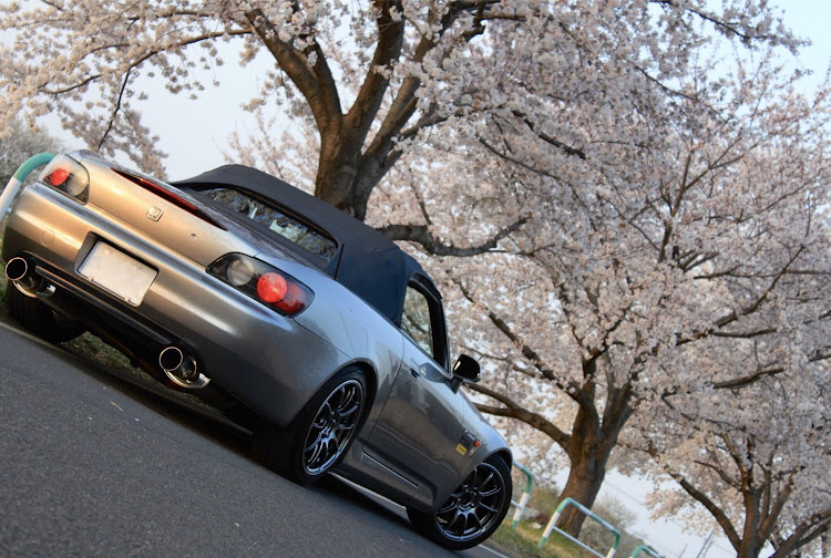 S2000の桜・桜とコラボ・桜と愛車に関するカスタム事例の投稿画像1枚目