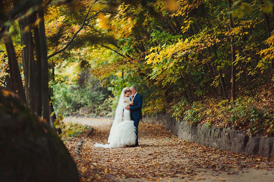 Wedding photographer Dmitriy Vasilenko (dmvasilenko). Photo of 1 January 2015