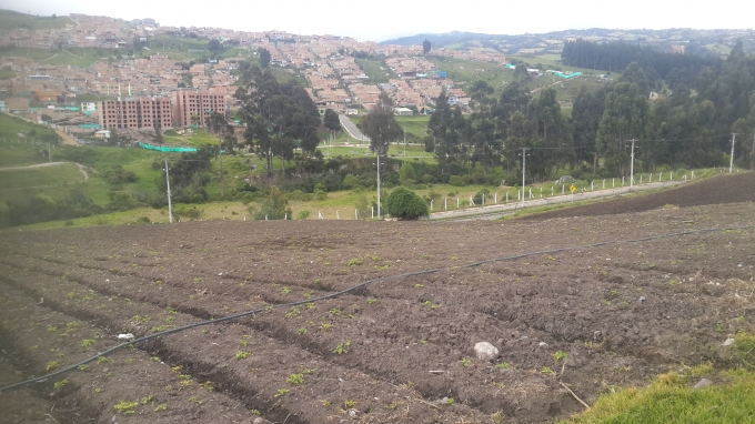 Lote En Venta - Portal Usme, Bogota