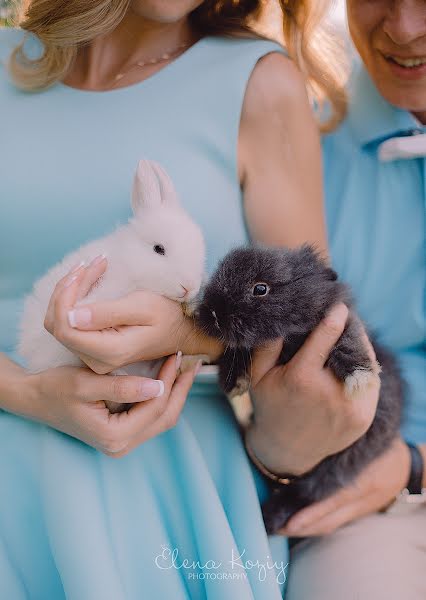 Vestuvių fotografas Elena Koziy (kolenka). Nuotrauka 2016 liepos 21