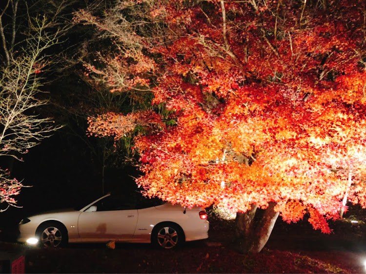シルビアの紅葉と愛車・ドライブに関するカスタム事例の投稿画像2枚目